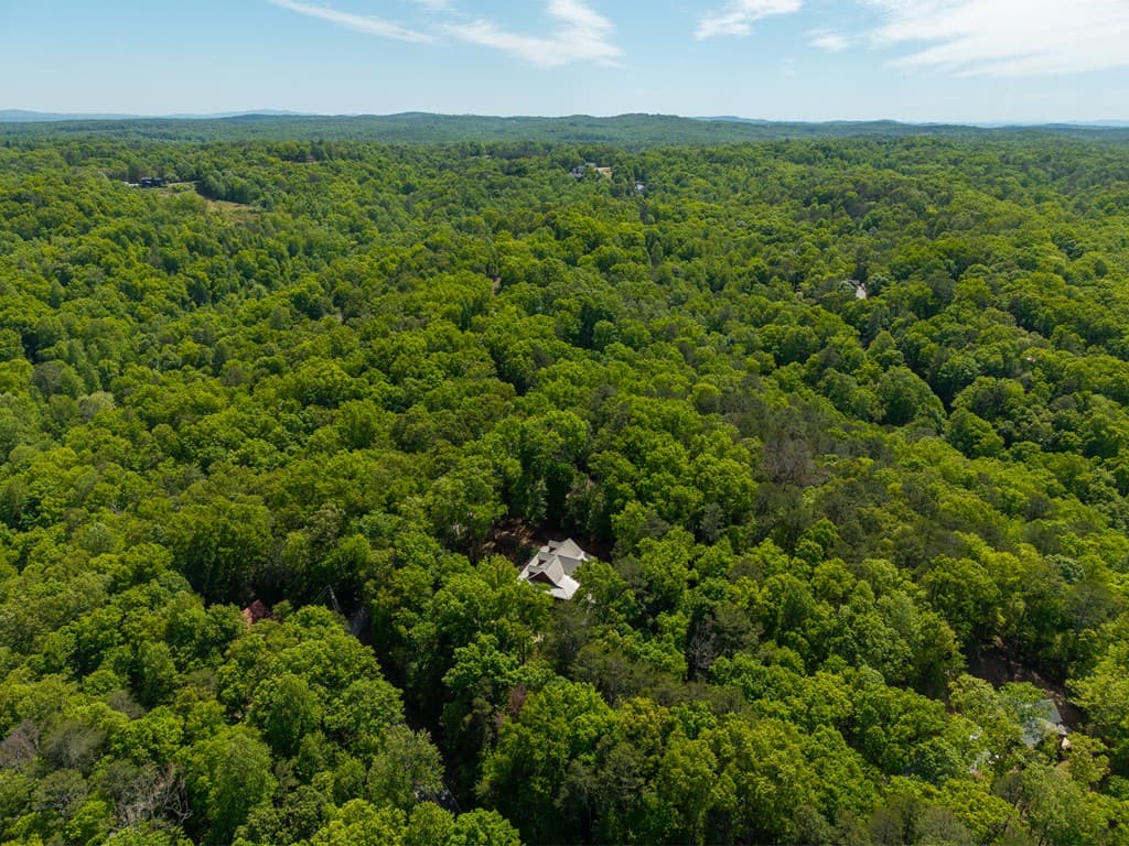 789 Gateway Drive, Ellijay GA 30540 - Photo