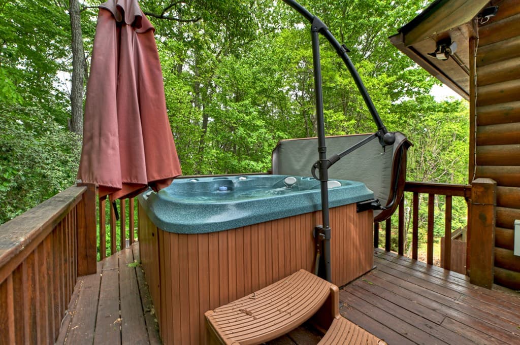 205 Lookout Drive, Blue Ridge GA 30513 - Photo