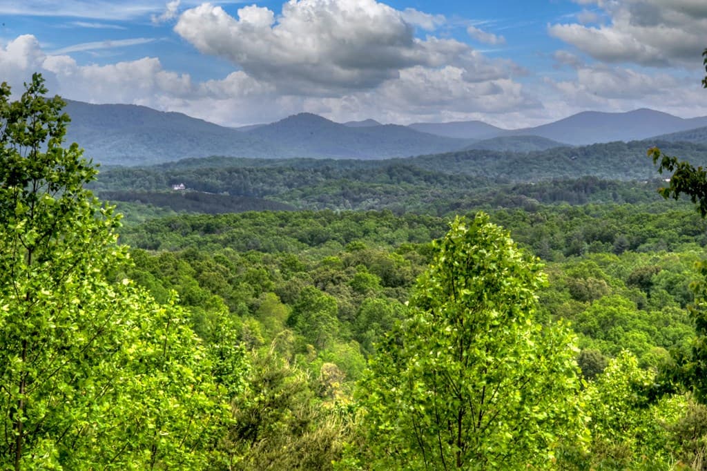 205 Lookout Drive, Blue Ridge GA 30513 - Photo