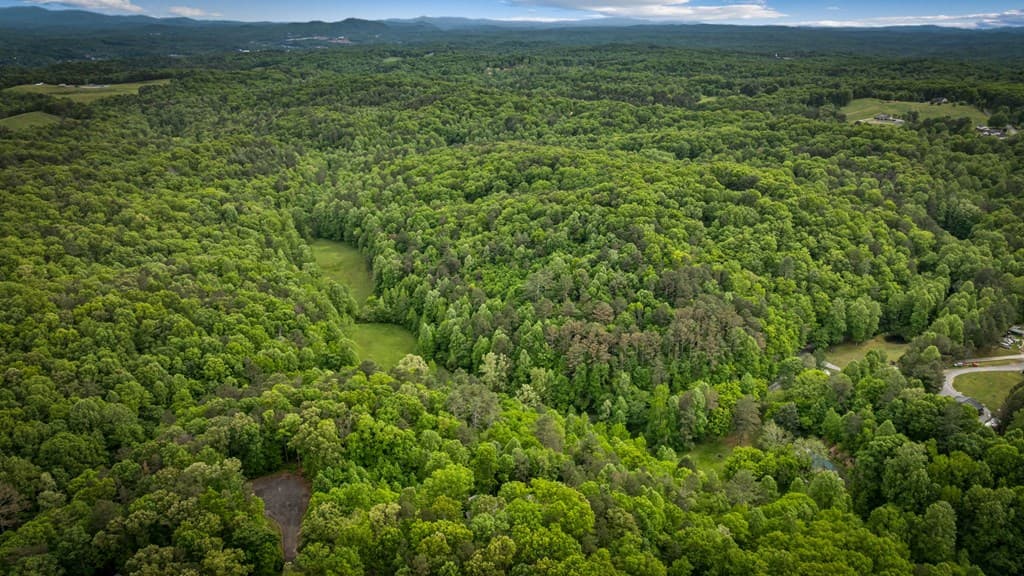 60 Weeks Lane, Ellijay GA 30540 - Photo