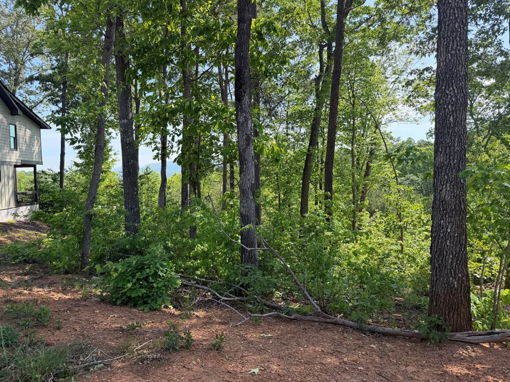 LOT 31 Summit View Lane, Ellijay GA 30540 - Photo