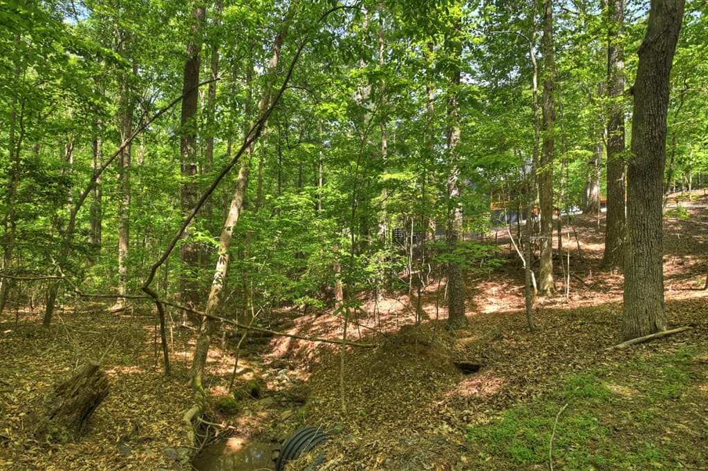 40 Cadet Court, Ellijay GA 30540 - Photo