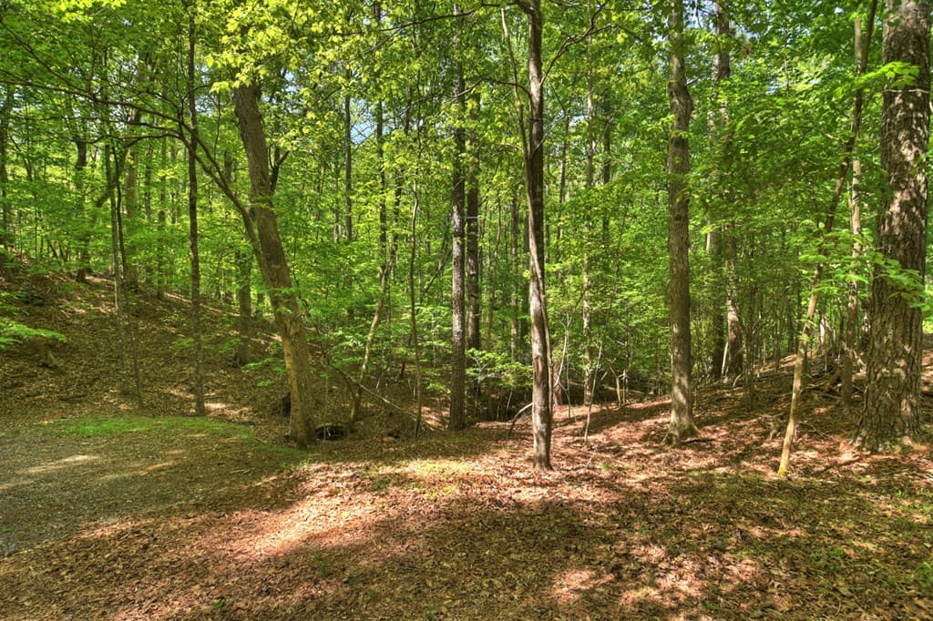 40 Cadet Court, Ellijay GA 30540 - Photo
