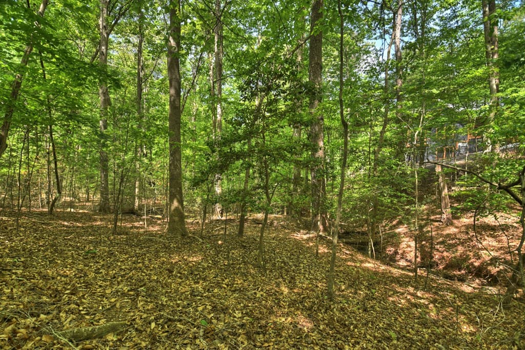 40 Cadet Court, Ellijay GA 30540 - Photo