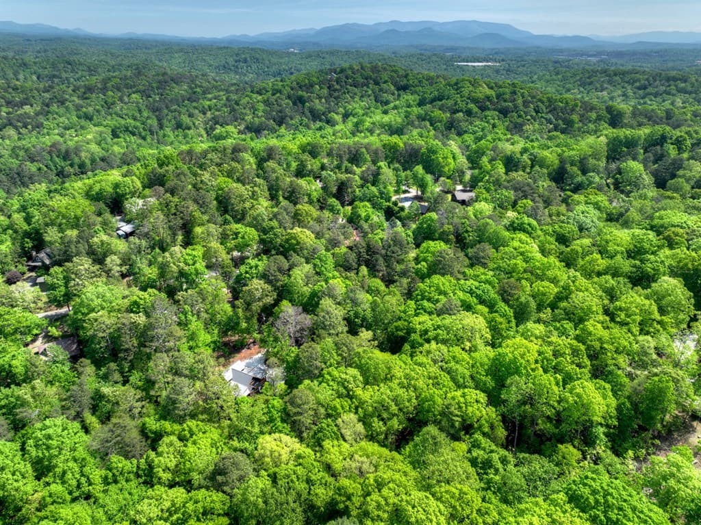 40 Cadet Court, Ellijay GA 30540 - Photo