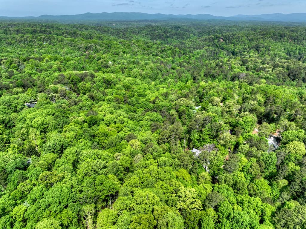 40 Cadet Court, Ellijay GA 30540 - Photo