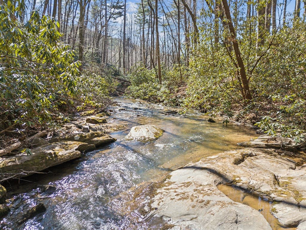 101 Evening Shade, Clayton GA 30525 - Photo