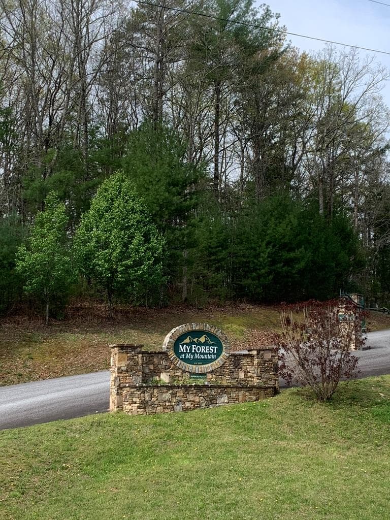 58 Whitetail Holw, Morganton GA 30560 - Photo