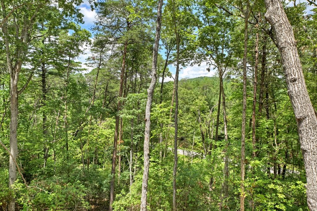 58 Whitetail Holw, Morganton GA 30560 - Photo