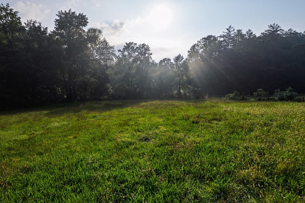 228 Holly Branch Drive, Ellijay GA 30540 - Photo