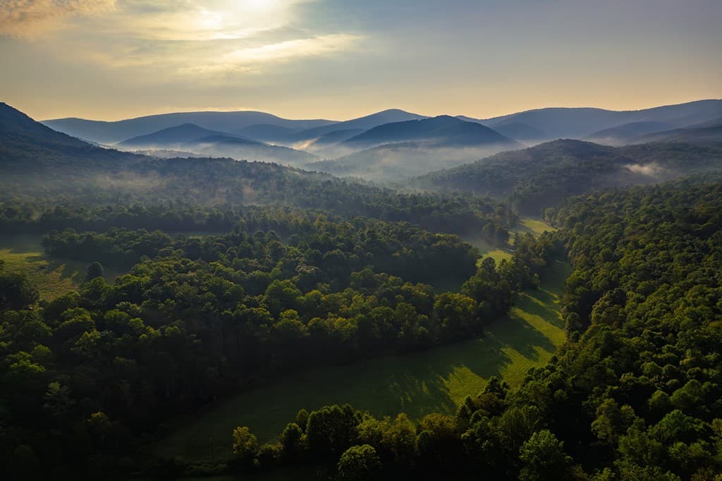 228 Holly Branch Drive, Ellijay GA 30540 - Photo