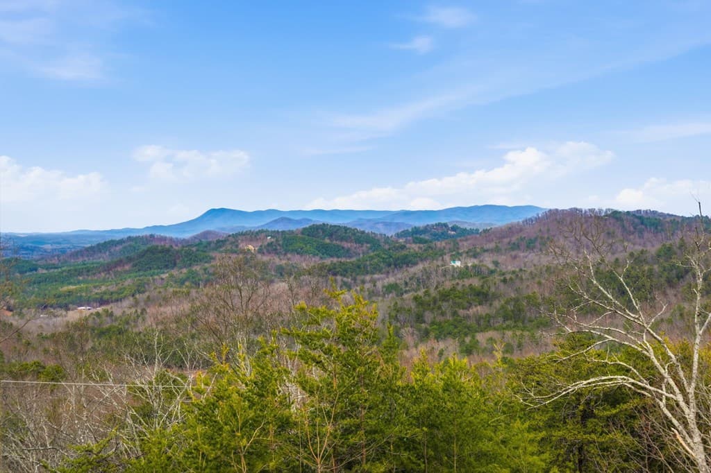 185 Stirratt Road, Ranger GA 30734 - Photo