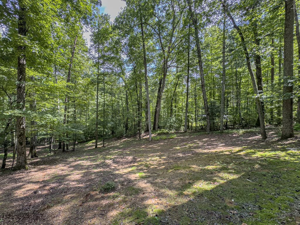 89 Box Turtle Lane, Murphy NC 28906 - Photo