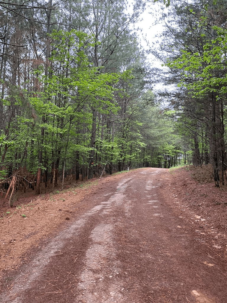0 Mull Drive, Mineral Bluff GA 30559 - Photo