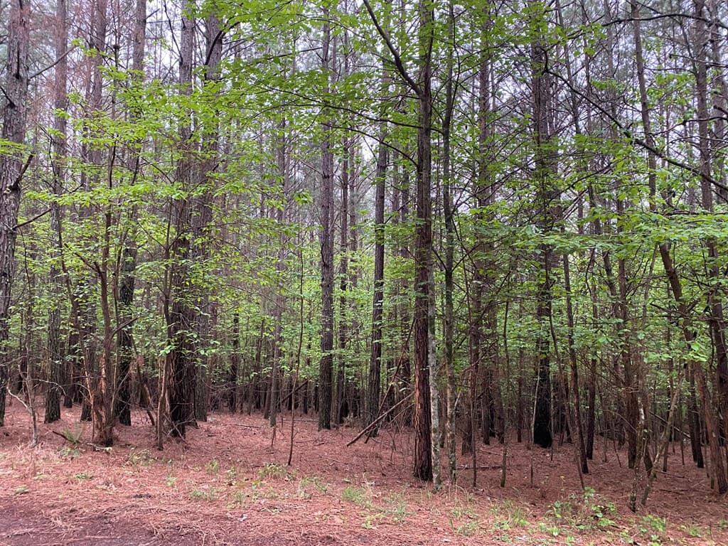 0 Mull Drive, Mineral Bluff GA 30559 - Photo