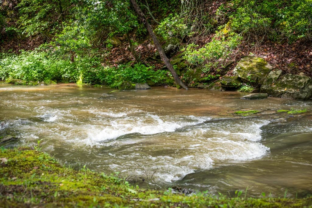 704 Town Creek Church Road, Talking Rock GA 30175 - Photo