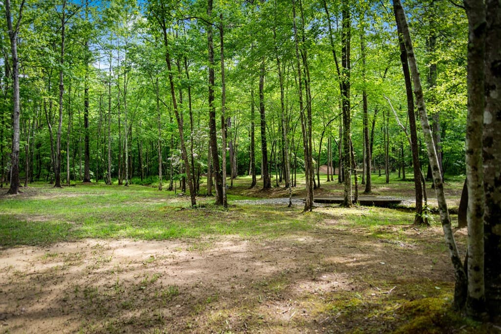 704 Town Creek Church Road, Talking Rock GA 30175 - Photo