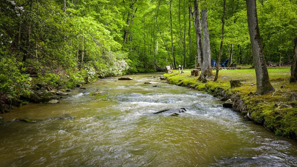 704 Town Creek Church Road, Talking Rock GA 30175 - Photo
