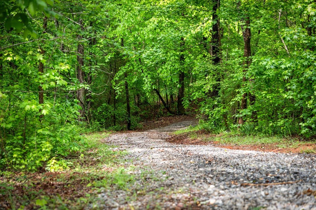 704 Town Creek Church Road, Talking Rock GA 30175 - Photo
