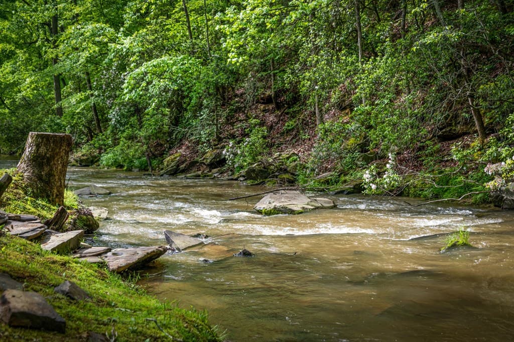 704 Town Creek Church Road, Talking Rock GA 30175 - Photo