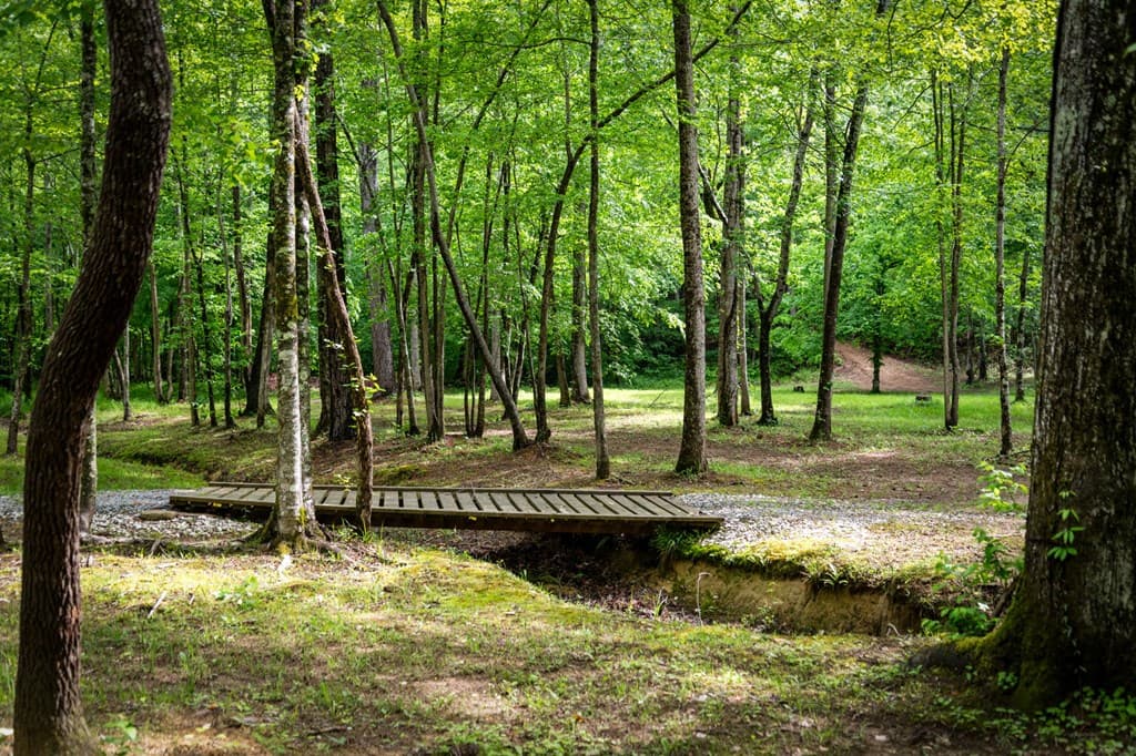 704 Town Creek Church Road, Talking Rock GA 30175 - Photo
