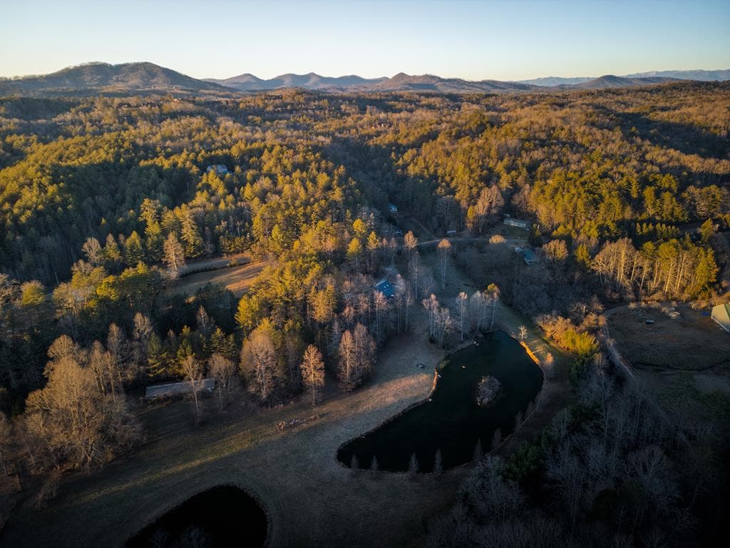 3800 Cutcane Road, Mineral Bluff GA 30559 - Photo