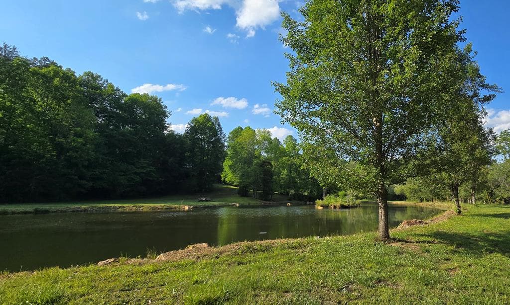 3800 Cutcane Road, Mineral Bluff GA 30559 - Photo