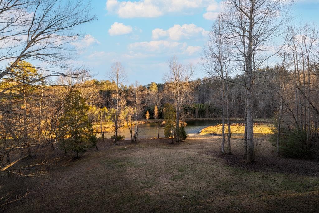 3800 Cutcane Road, Mineral Bluff GA 30559 - Photo