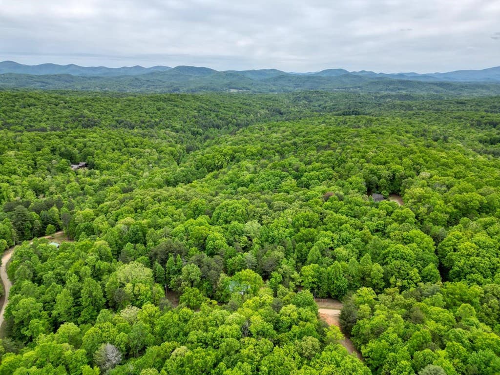 85 Cold Springs Road, Morganton GA 30560 - Photo