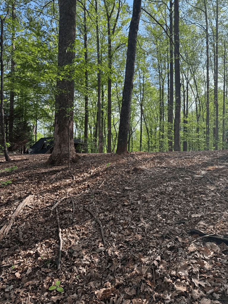 0 Mountain View Court, Ellijay GA 30536 - Photo