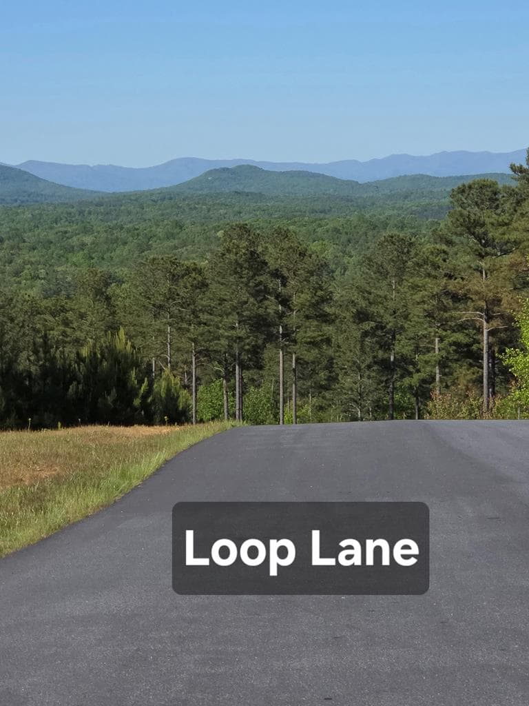 182 Loop Lane, Blairsville GA 30512 - Photo
