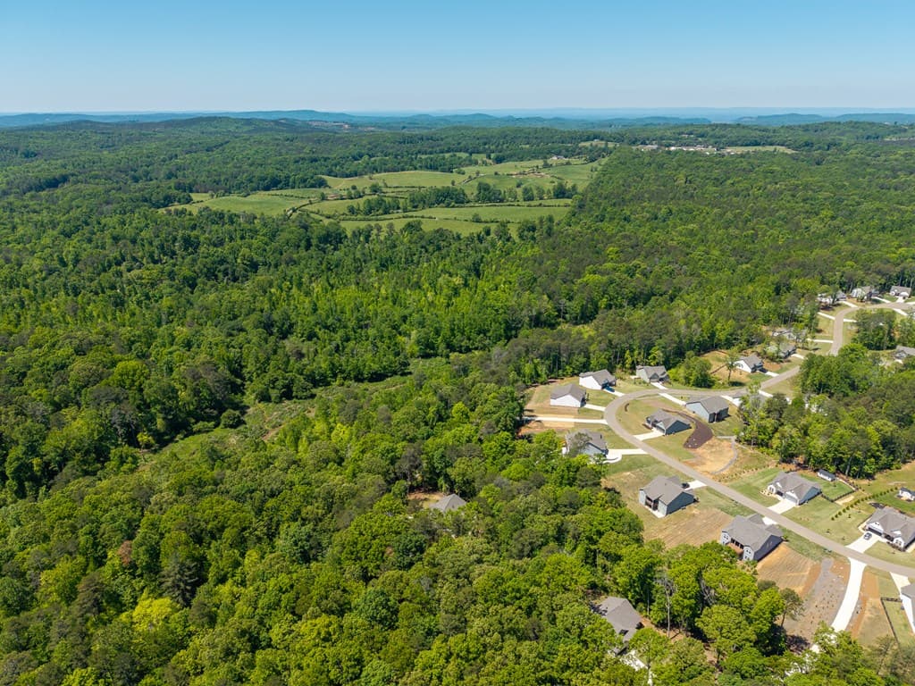 483 Linger Longer Drive, Ellijay GA 30540 - Photo