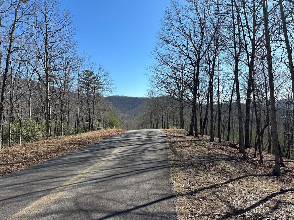 Lot 55 Asheland Cove, Young Harris GA 30582 - Photo