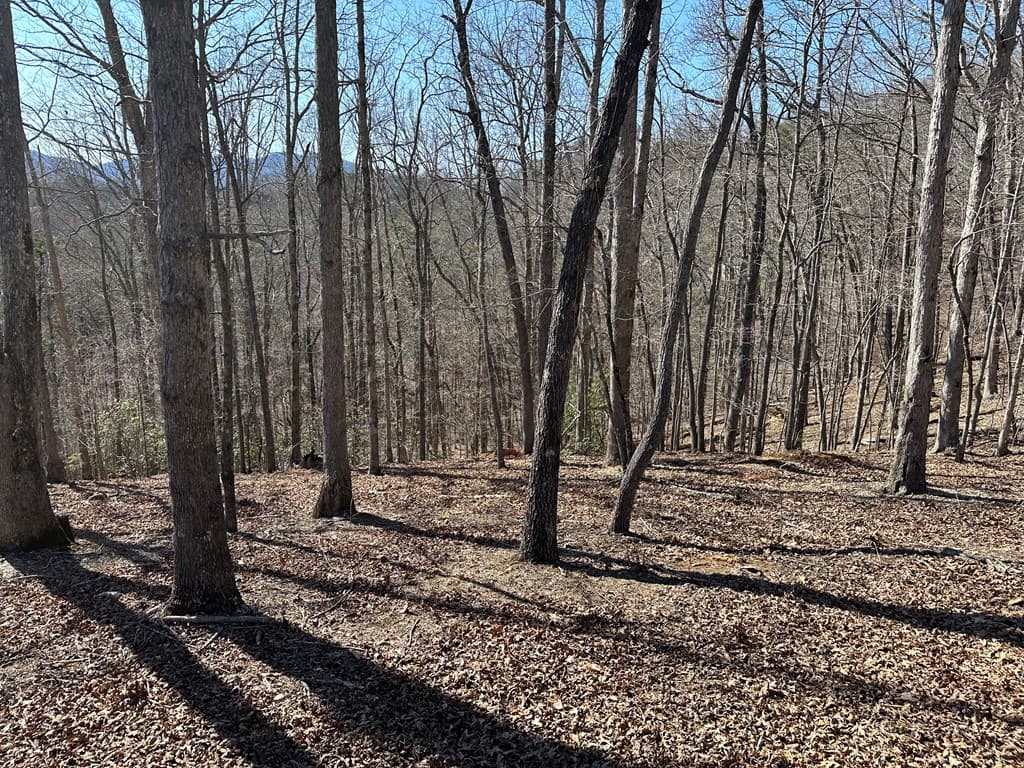 Lot 55 Asheland Cove, Young Harris GA 30582 - Photo