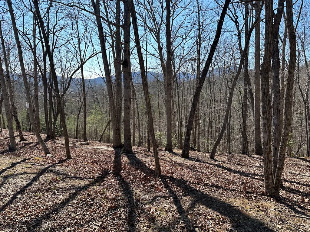 Lot 55 Asheland Cove, Young Harris GA 30582 - Photo