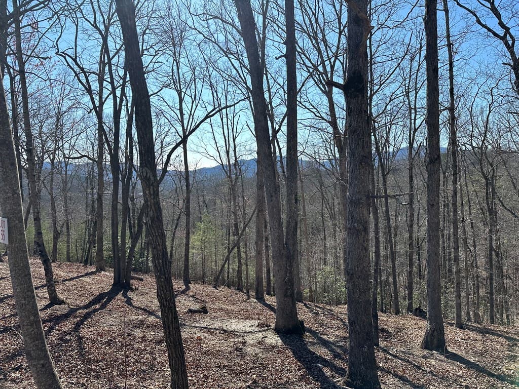Lot 55 Asheland Cove, Young Harris GA 30582 - Photo