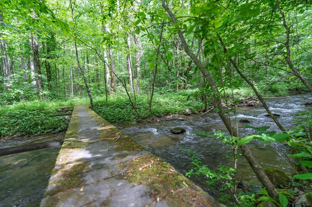 740 Little Rock Creek Road, Cherry Log GA 30522 - Photo