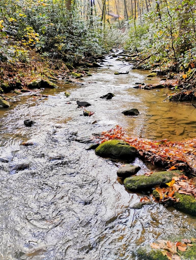 740 Little Rock Creek Road, Cherry Log GA 30522 - Photo