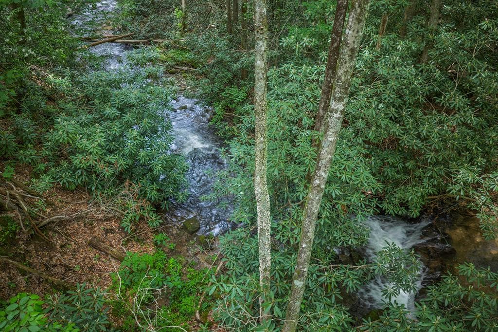 740 Little Rock Creek Road, Cherry Log GA 30522 - Photo