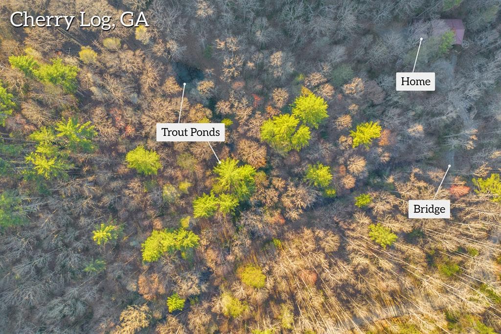 740 Little Rock Creek Road, Cherry Log GA 30522 - Photo