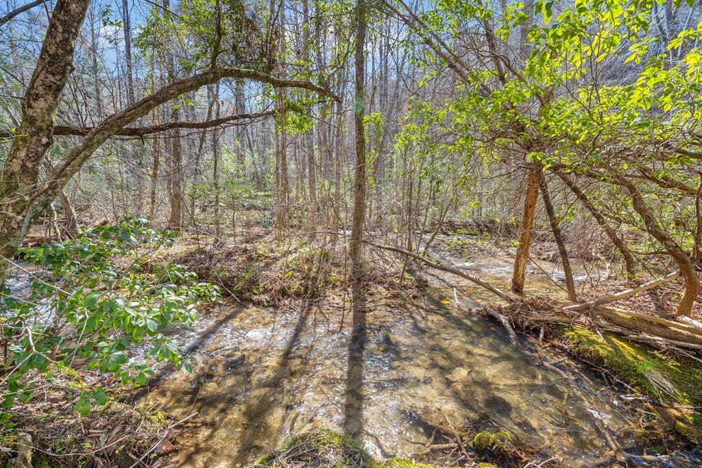 740 Little Rock Creek Road, Cherry Log GA 30522 - Photo