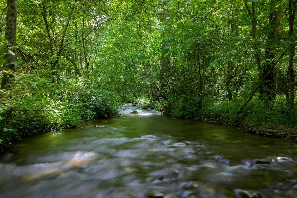 740 Little Rock Creek Road, Cherry Log GA 30522 - Photo