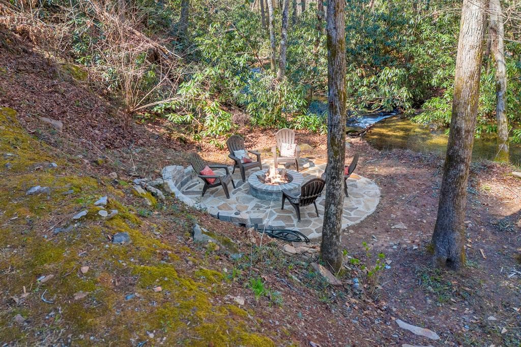 740 Little Rock Creek Road, Cherry Log GA 30522 - Photo