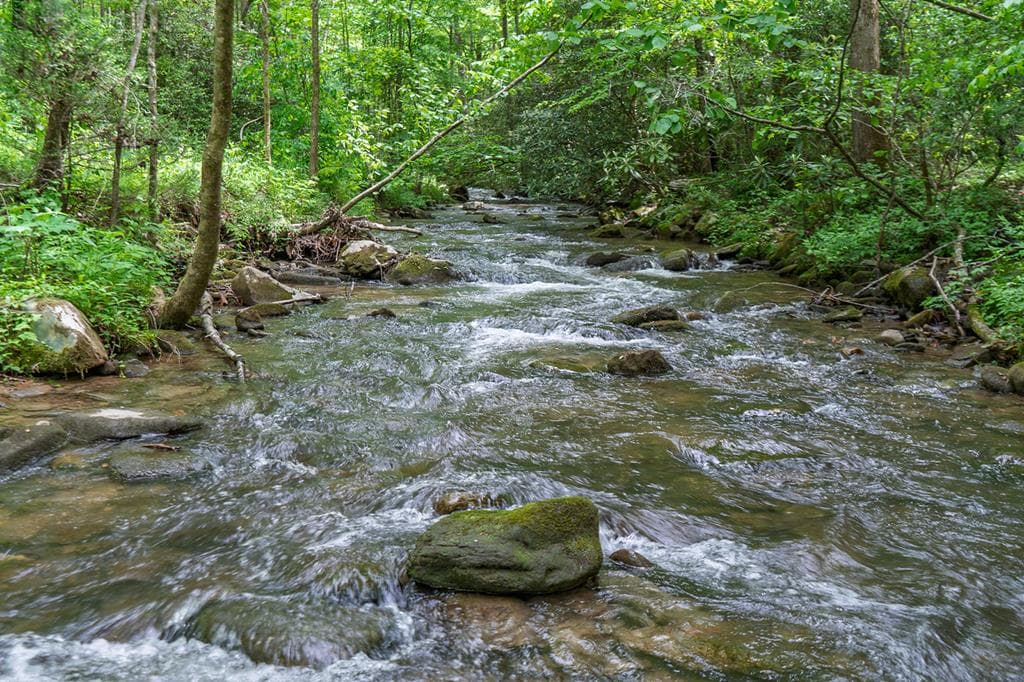 740 Little Rock Creek Road, Cherry Log GA 30522 - Photo