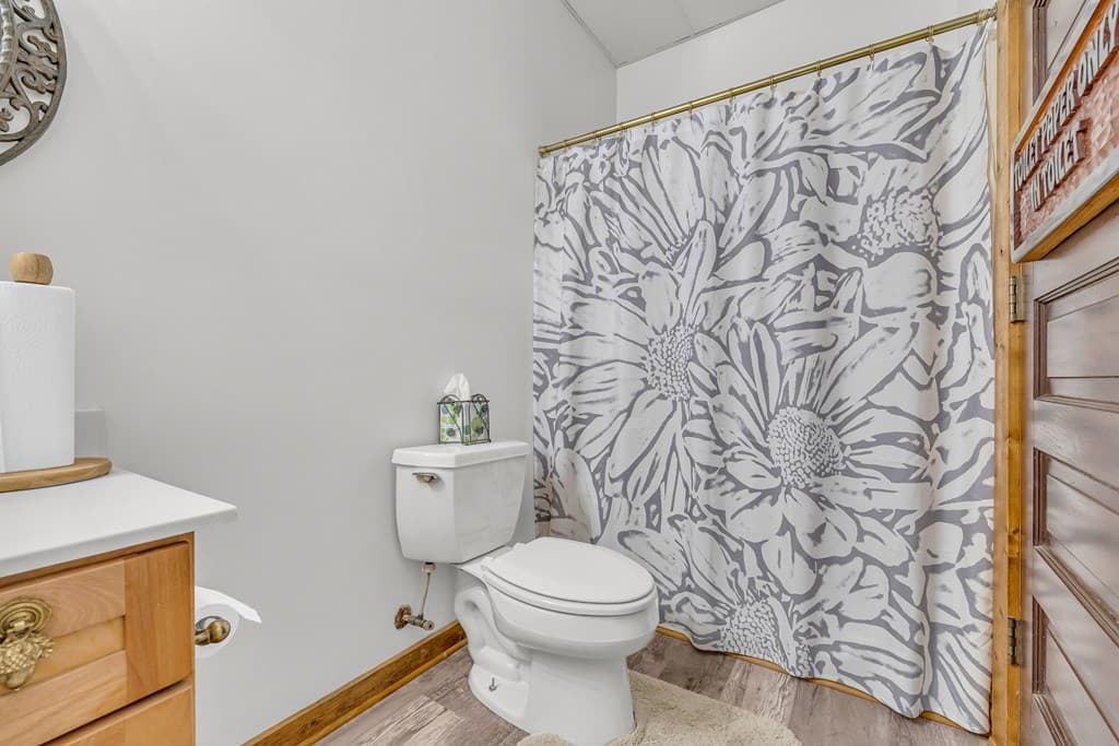 740 Little Rock Creek Road, Cherry Log GA 30522 - Photo
