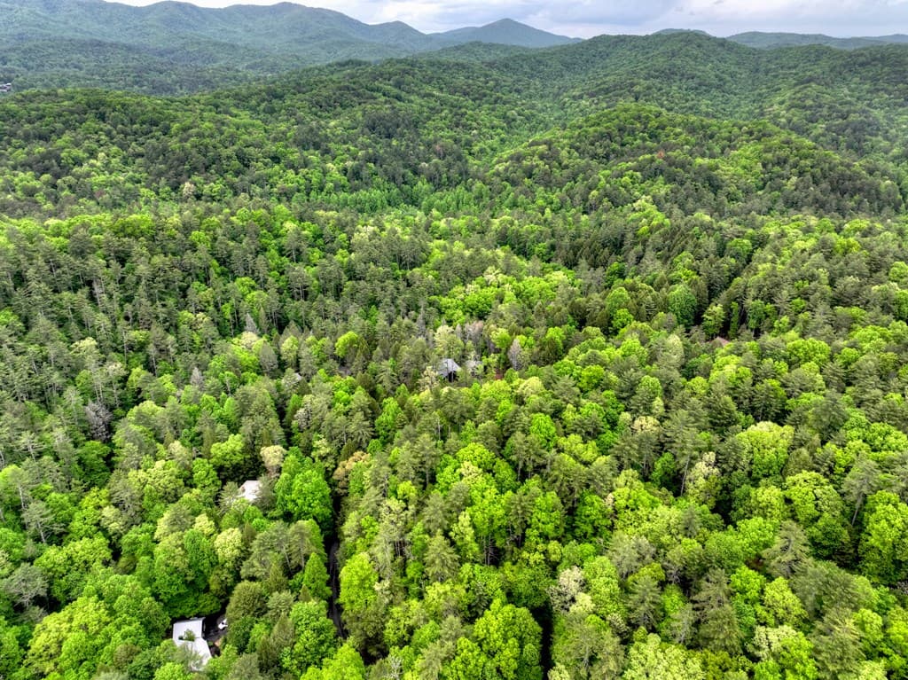 300 River Road, Cherry Log GA 30522 - Photo