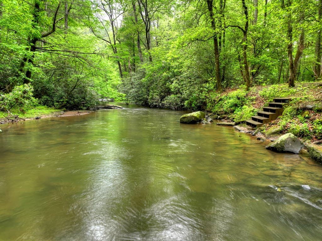 300 River Road, Cherry Log GA 30522 - Photo