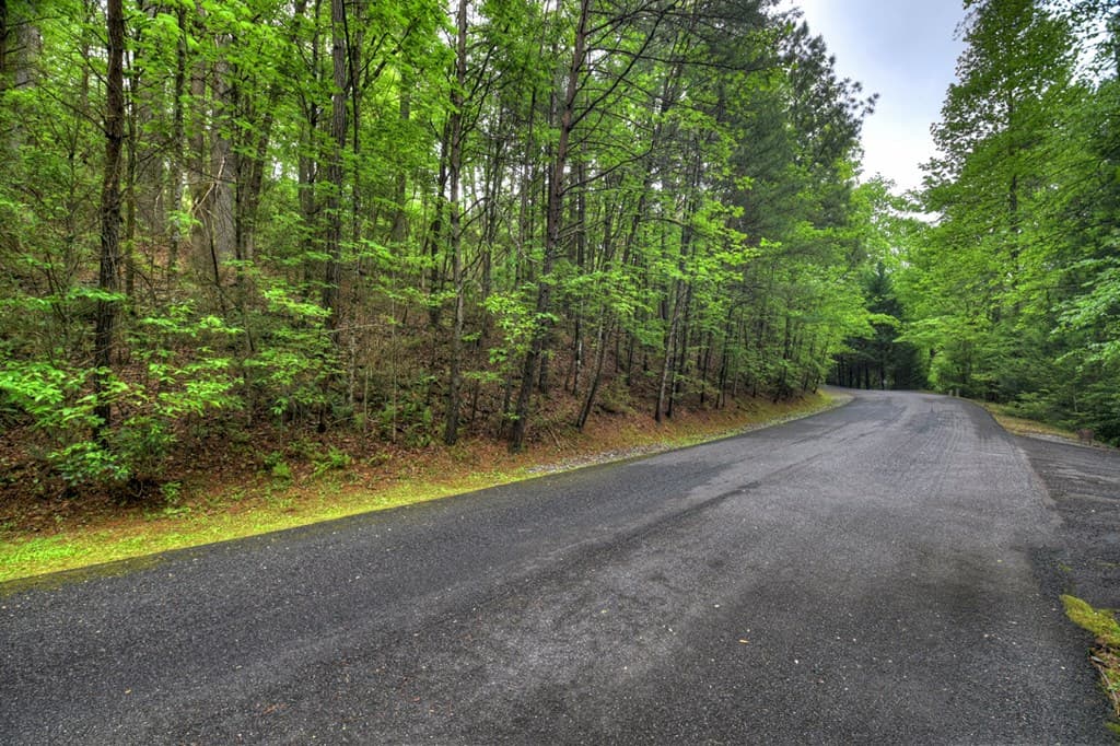 300 River Road, Cherry Log GA 30522 - Photo