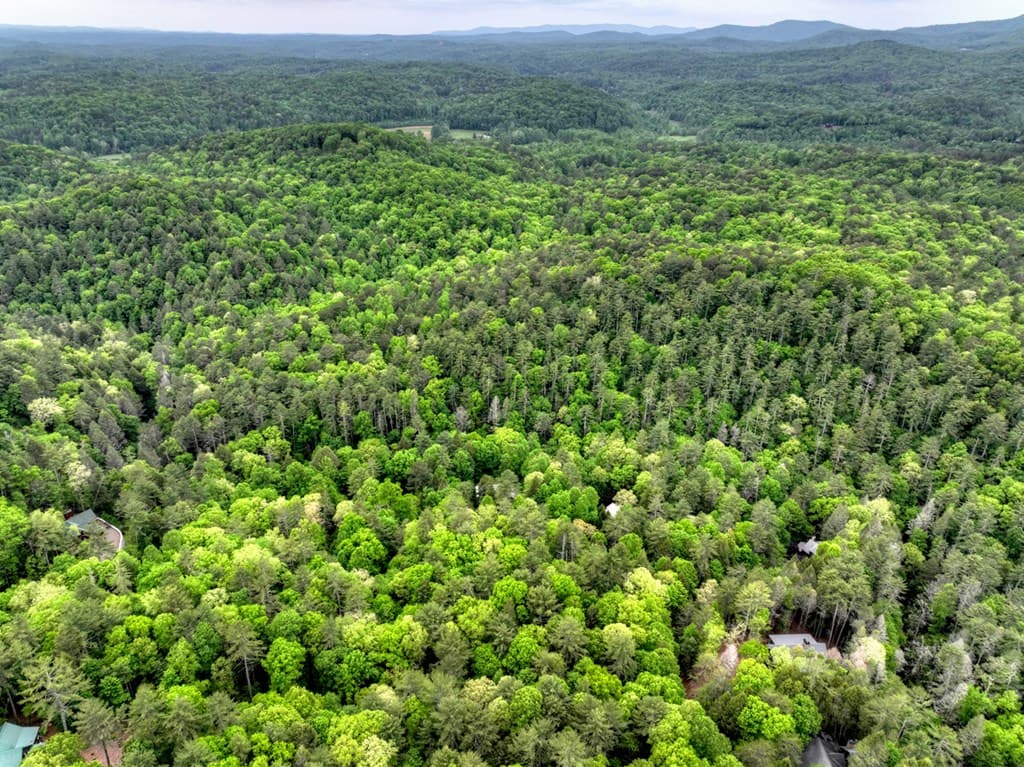 300 River Road, Cherry Log GA 30522 - Photo