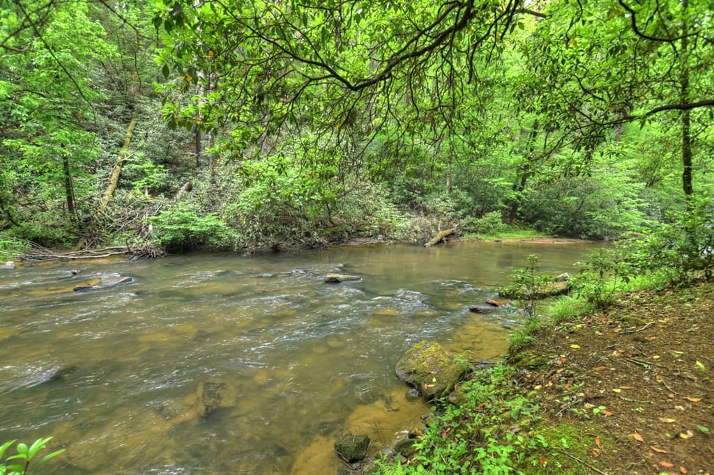 300 River Road, Cherry Log GA 30522 - Photo
